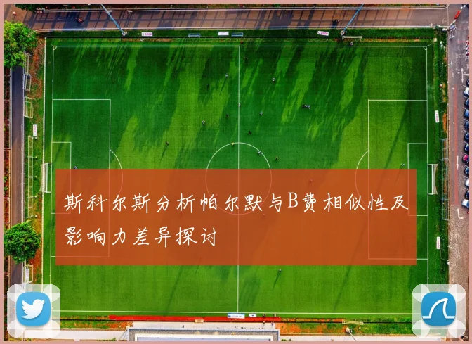 斯科尔斯分析帕尔默与B费相似性及影响力差异探讨