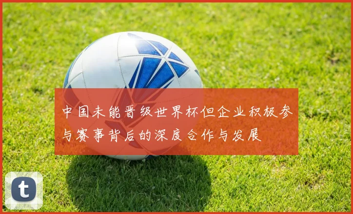 中国未能晋级世界杯但企业积极参与赛事背后的深度合作与发展